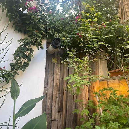 Eleonora'S Hidden Gem Lägenhet Aten Exteriör bild