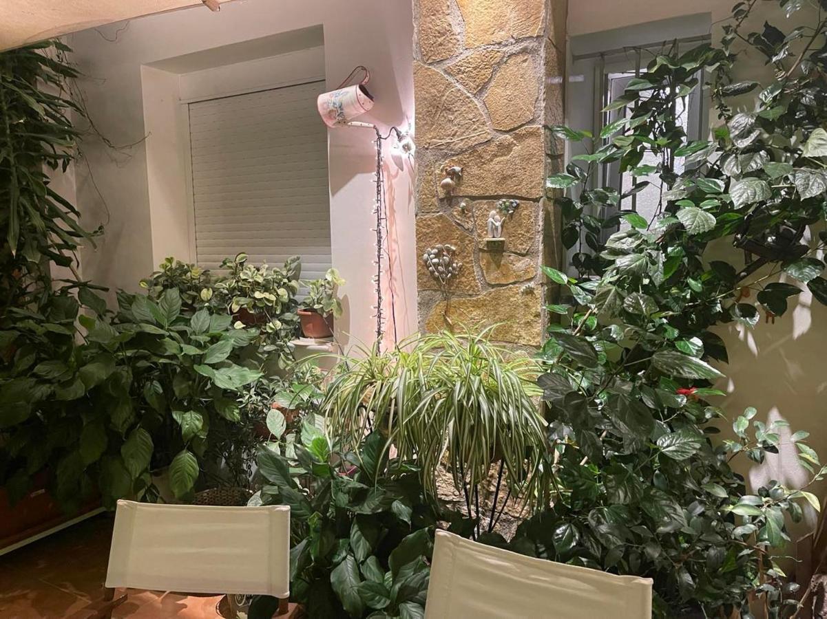 Eleonora'S Hidden Gem Lägenhet Aten Exteriör bild
